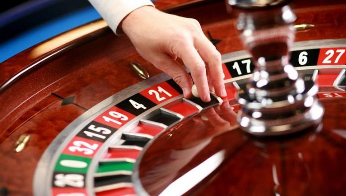 WinWinBet contact